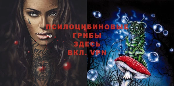 эйфоретик Богородицк