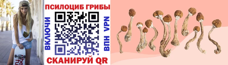Галлюциногенные грибы GOLDEN TEACHER  Бирюсинск 